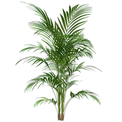 植物系列写实植物元素