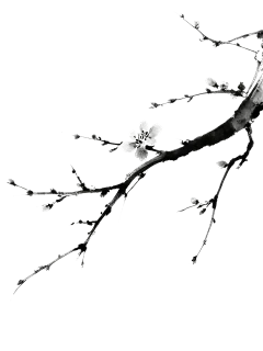 冬天插画水墨树枝元素