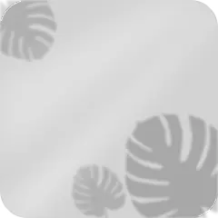 植物窗影元素-SVG4