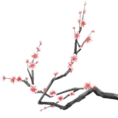 中国风梅花