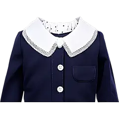 服饰系列写实可爱风娃娃领衬衫证件照服饰元素