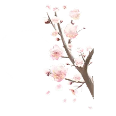 卡通感冬季鲜花元素贴纸