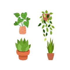 绿色手绘盆栽植物元素