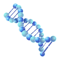 手绘-初高中课程辅导贴纸-DNA