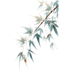 植物通用插画竹子元素素材