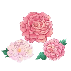 卡通感建军节花元素贴纸