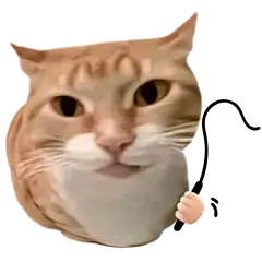 恶搞抽象猫meme抽鞭子搞笑贴纸AIGC