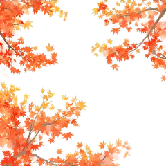 植物系列插画风枫树枫叶边框