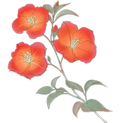 植物通用清新插画花朵元素素材