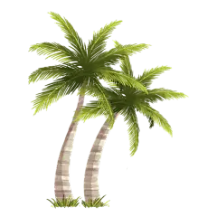 手绘-夏天季节元素贴纸svg-椰子树