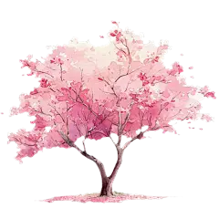 植物通用插画粉色单棵樱花树元素素材