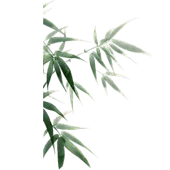 植物通用插画竹子元素素材