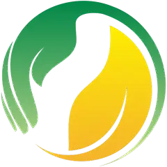 常规内容-图标系列扁平风黄色绿色渐变圆圈元素