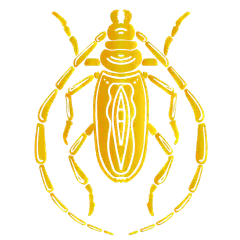 矢量-金箔元素贴纸-甲虫