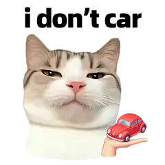 恶搞抽象猫meme我不在意搞笑贴纸AIGC