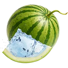 夏至实景创意西瓜水切片西瓜元素