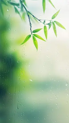 雨水实景玻璃水雾植物组合背景