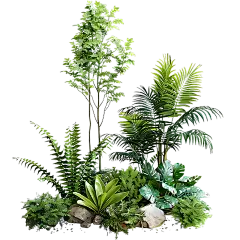 植物通用绿色实景景观绿植组合元素素材