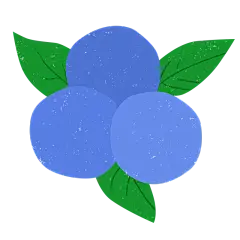 手绘-简约色块水果贴纸-蓝莓