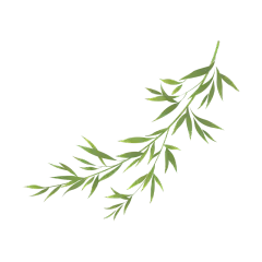 卡通感端午节柳叶元素贴纸