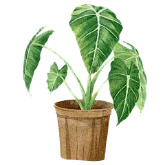 手绘小清新绿植免抠