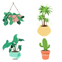 手绘盆栽植物插画元素1