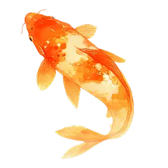 动物系列厚涂插画金鱼