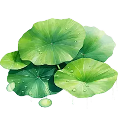 植物通用清新插画绿色荷花荷叶元素素材