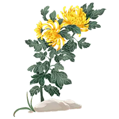 重阳节人物组合插画-道具