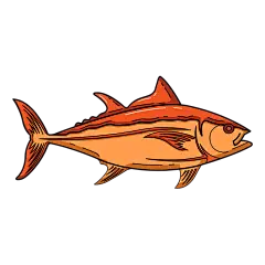 海洋生物元素主题素材-鱼