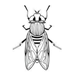 手绘-小昆虫元素-蝉