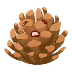 手绘-秋冬元素-松果