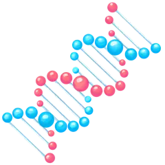 手绘-初高中课程辅导贴纸-DNA