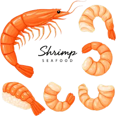常规内容-美食系列插画风海鲜食物虾元素组合