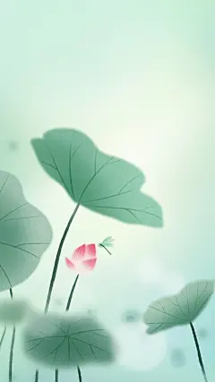 处暑肌理感荷叶荷花蜻蜓插画背景