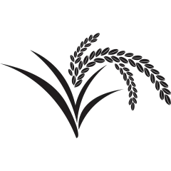 植物系列手绘风扁平黑色小麦元素