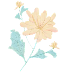 手绘-清新花朵贴纸5