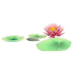 3D荷花元素贴纸