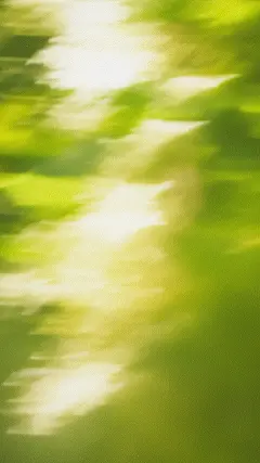 夏天通用绿色模糊渐变背景图片素材