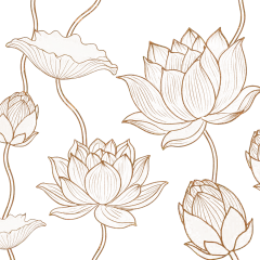 常规内容-植物系列插画风花朵线条肌理插画