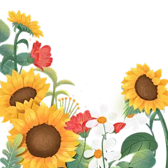 春天春日氛围感插画花卉植物边框元素素材