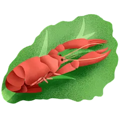 手绘美食元素小龙虾1