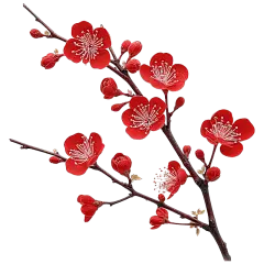 红色梅花