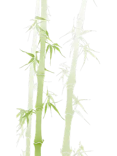 植物系列水墨风插画竹子竹叶