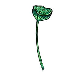 春节国潮风手绘插画贴纸-莲蓬