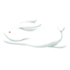 可爱跳跃中的小白兔