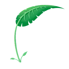 手绘风-植物元素-植物