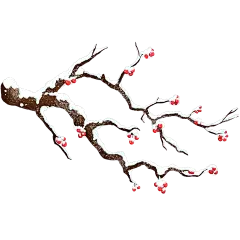 冬季冬天节气手绘果实植物积雪元素素材