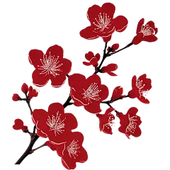 红色梅花