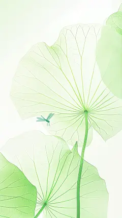 立夏清新感荷叶肌理蜻蜓背景